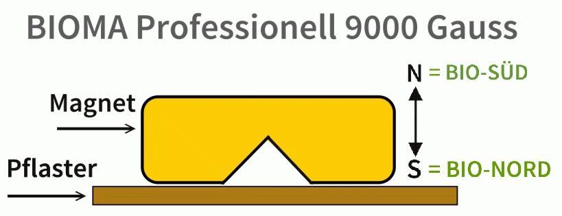 model_biomag9000